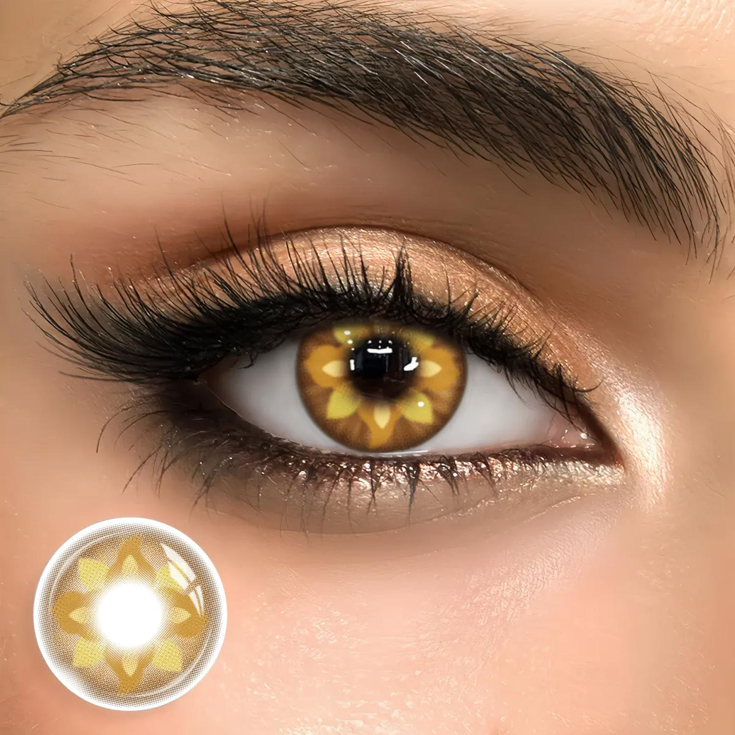 Clovian Brown - 6-month，2 lenses