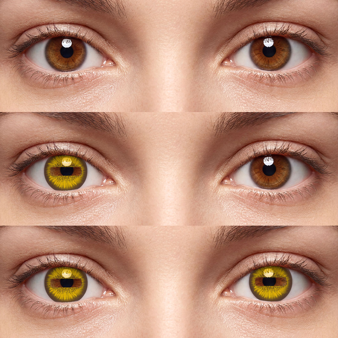 Goat Eye Brown - 1 Year, 2 lenses
