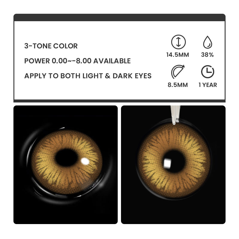 Dioren Brown - 1 Year, 2 lenses Colored Contacts - Gleglow