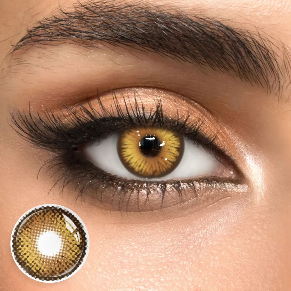 Dioren Brown - 1 Year, 2 lenses