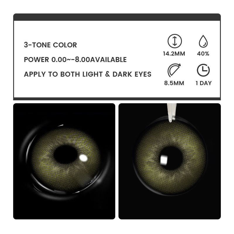 Dolce Green - 1 Day, 2 lenses
