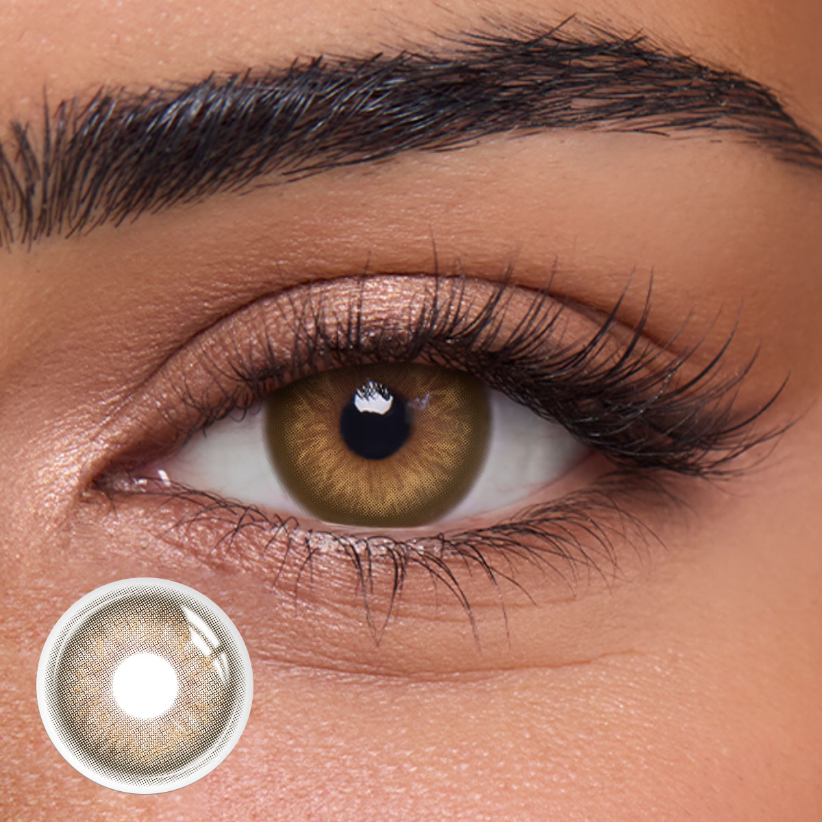 Dolly Brown - 1 Year, 2 lenses Colored Contacts - Gleglow