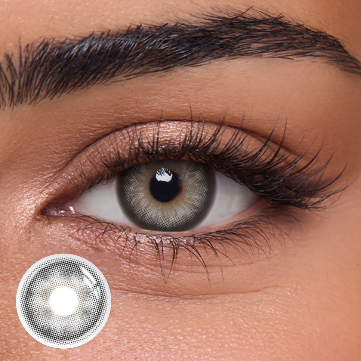 Dolly Grey - 1 Year, 2 lenses