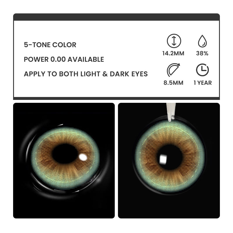 Dreamy Bow Brown - 1 Year, 2 lenses