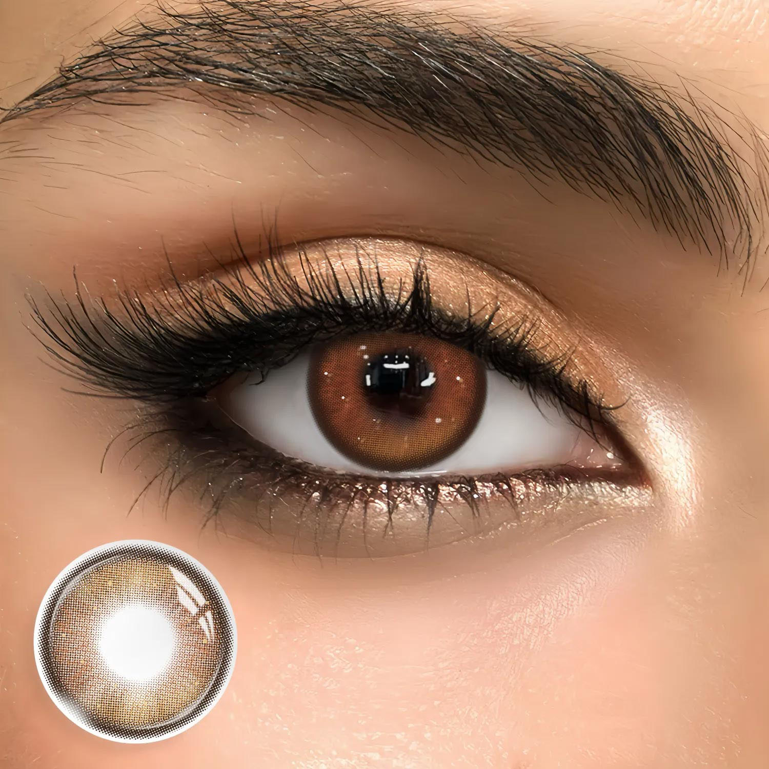 Driftwood Brown - 1 Year, 2 lenses