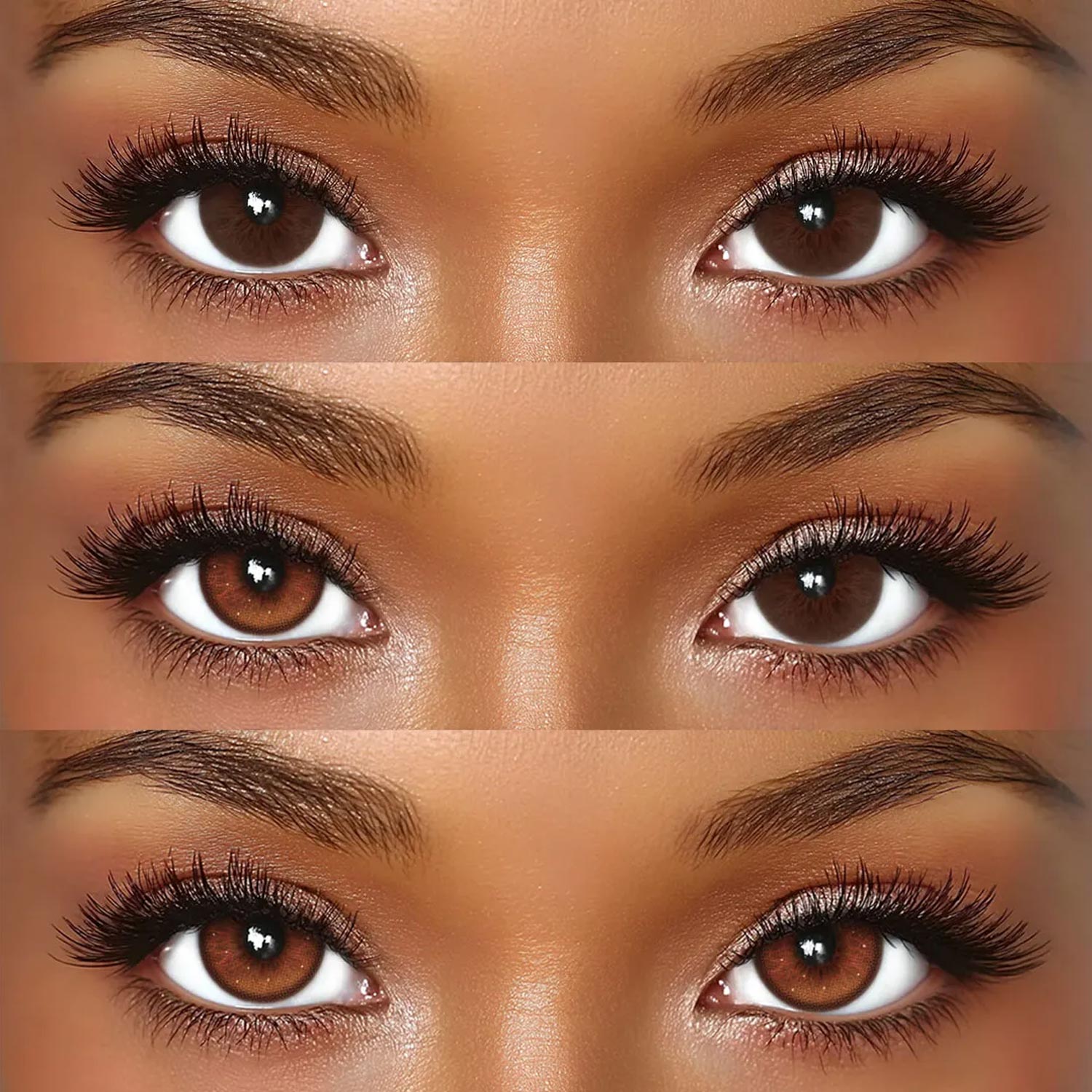 Driftwood Brown - 1 Year, 2 lenses