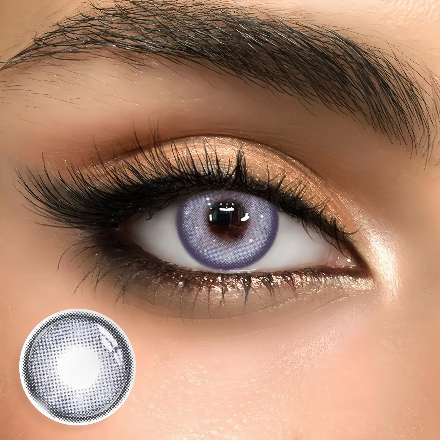 Driftwood Purple - 1 Year, 2 lenses