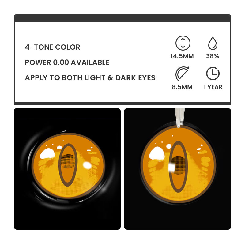 Elden Brown - 1 Year, 2 lenses Colored Contacts - Gleglow