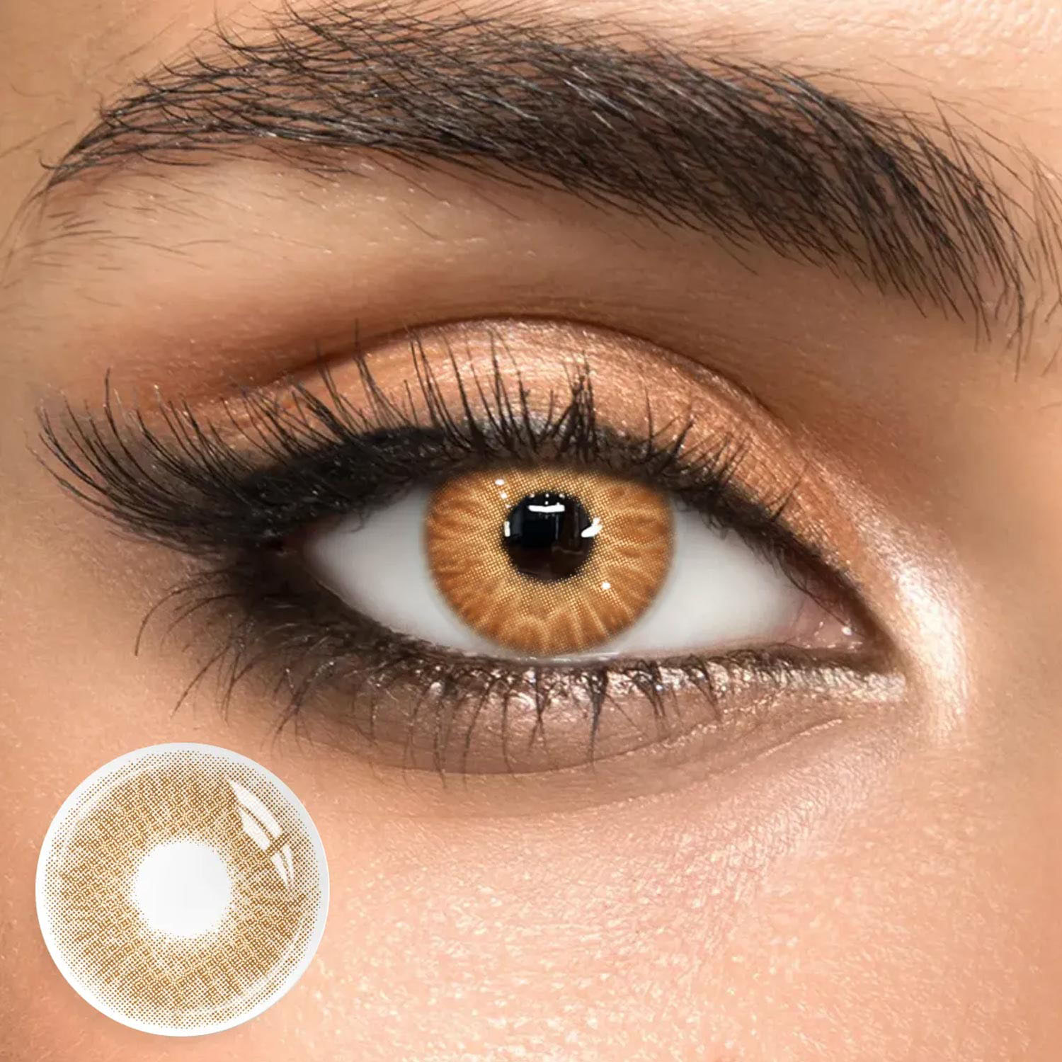 Elf Iris Brown - 1 Year, 2 lenses