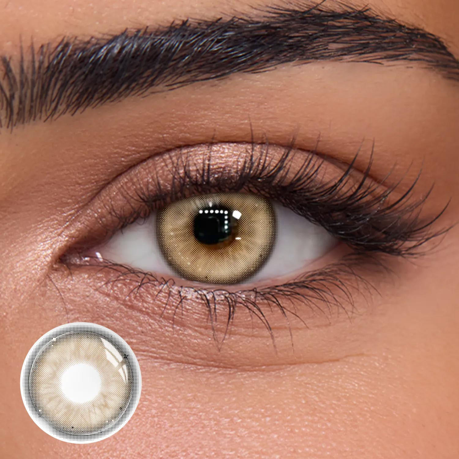 Fable Brown - 1 Year, 2 lenses