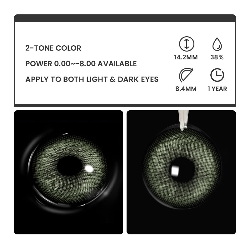 Flax Green - 1 Year, 2 lenses