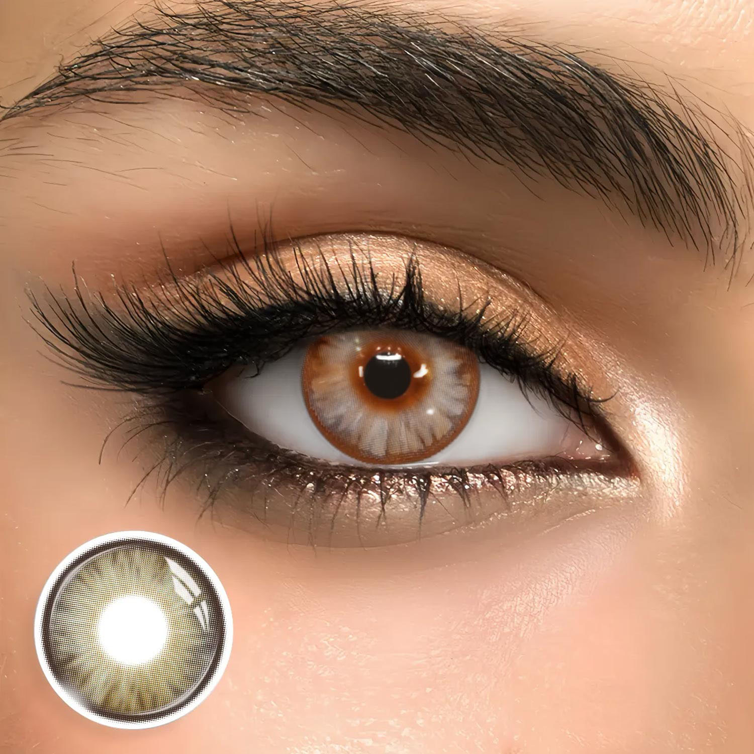 Florise Brown - monthly, 2 lenses