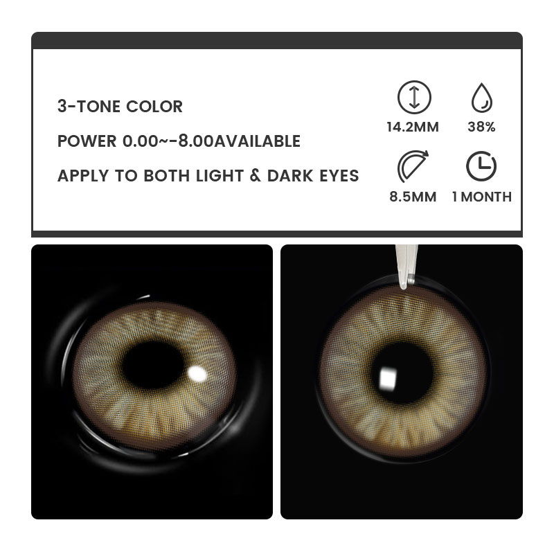 Florise Brown - monthly, 2 lenses Colored Contacts - Gleglow