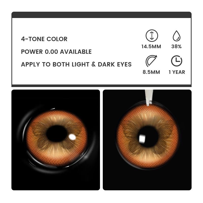 Fluttery Brown - 1 Year, 2 lenses Colored Contacts - Gleglow