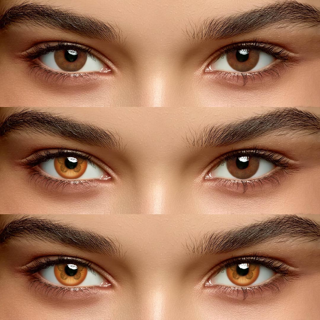 Fluttery Brown - 1 Year, 2 lenses