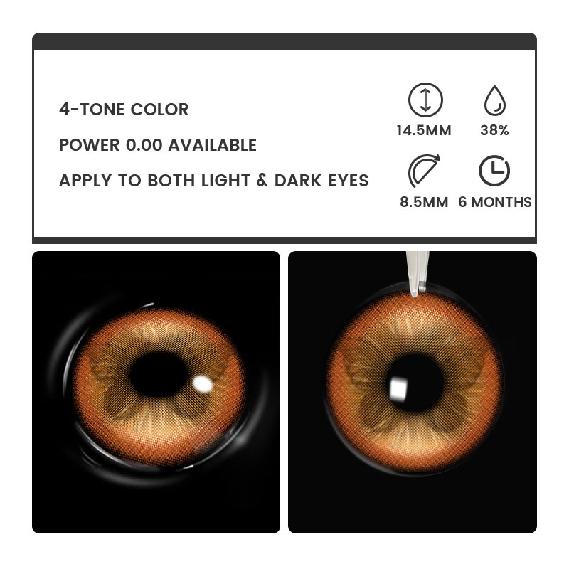 Fluttery Brown - 6-month，2 lenses Colored Contacts - Gleglow
