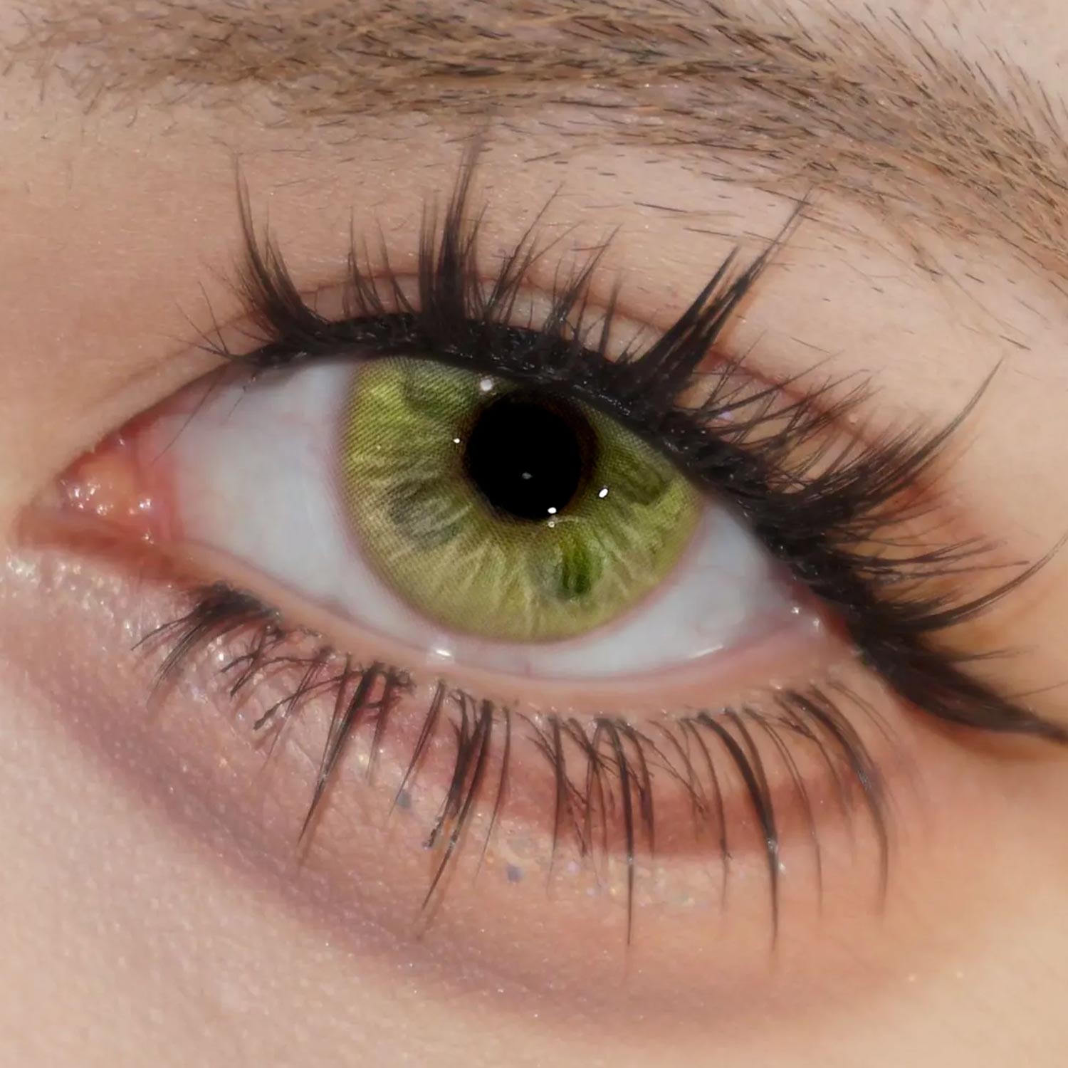 Fluttery Green - 1 Year, 2 lenses