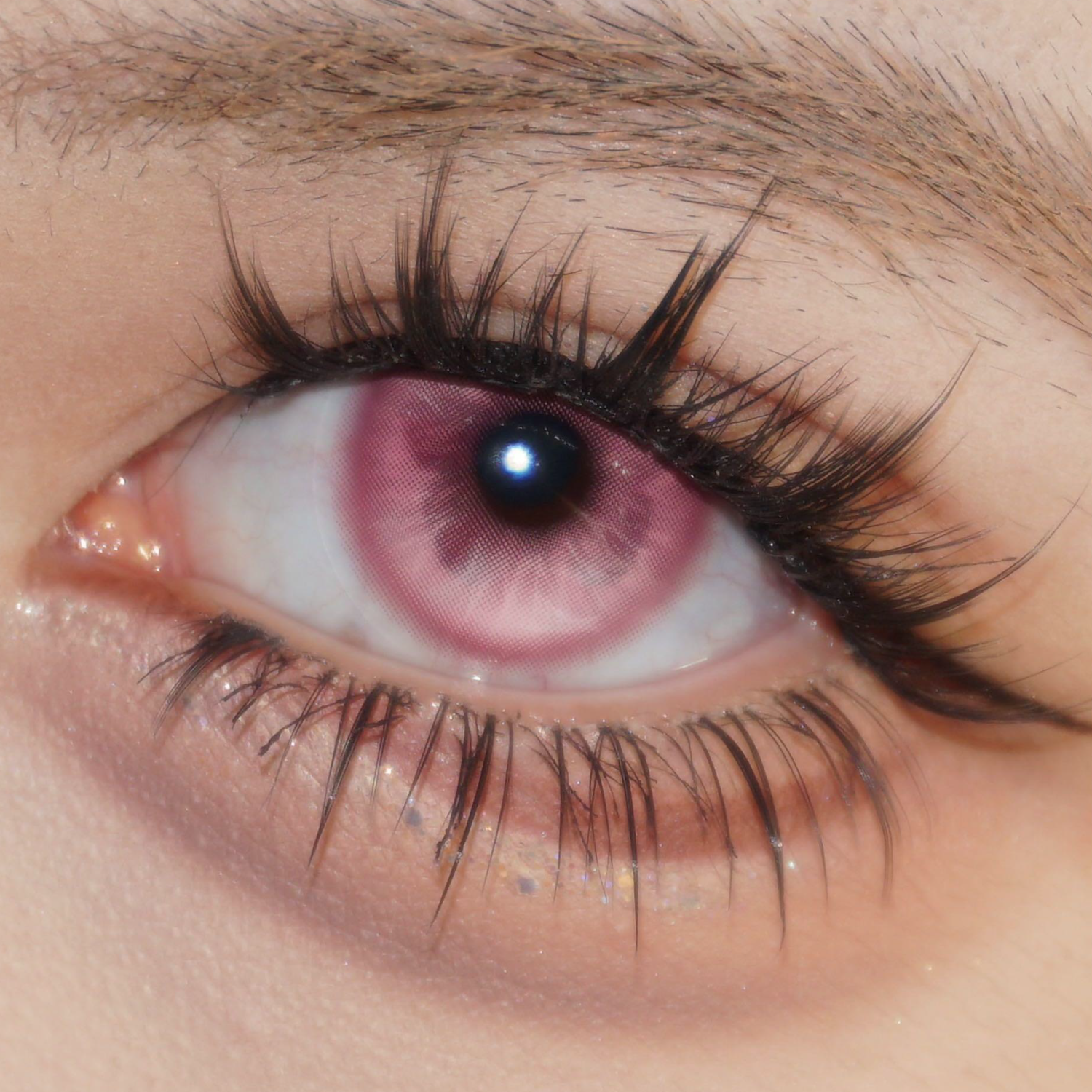 Fluttery Pink - 1 Year, 2 lenses