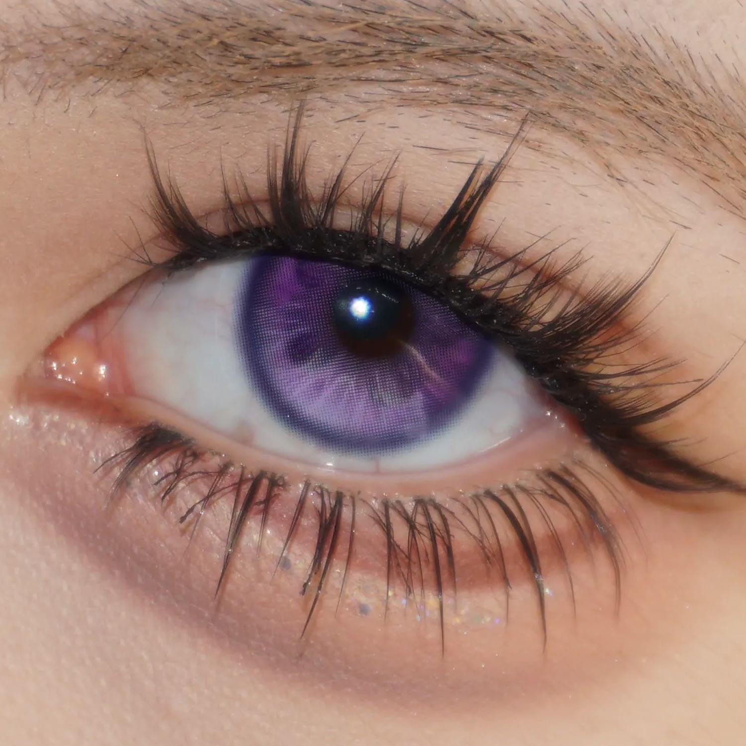 Fluttery Purple - 6-month，2 lenses