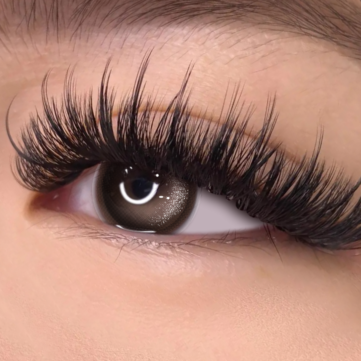 Glister Black - 1 Year, 2 lenses Colored Contacts - Gleglow