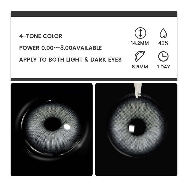 Gemstone Grey - 1 Day, 2 lenses