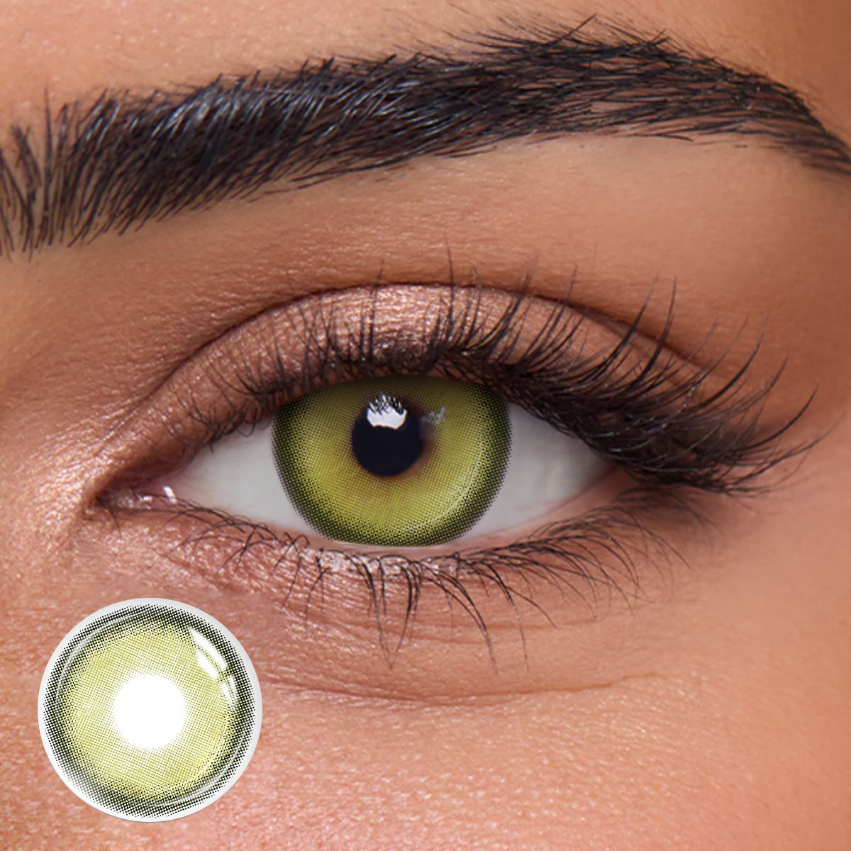 Glema Brown - 1 Year, 2 lenses