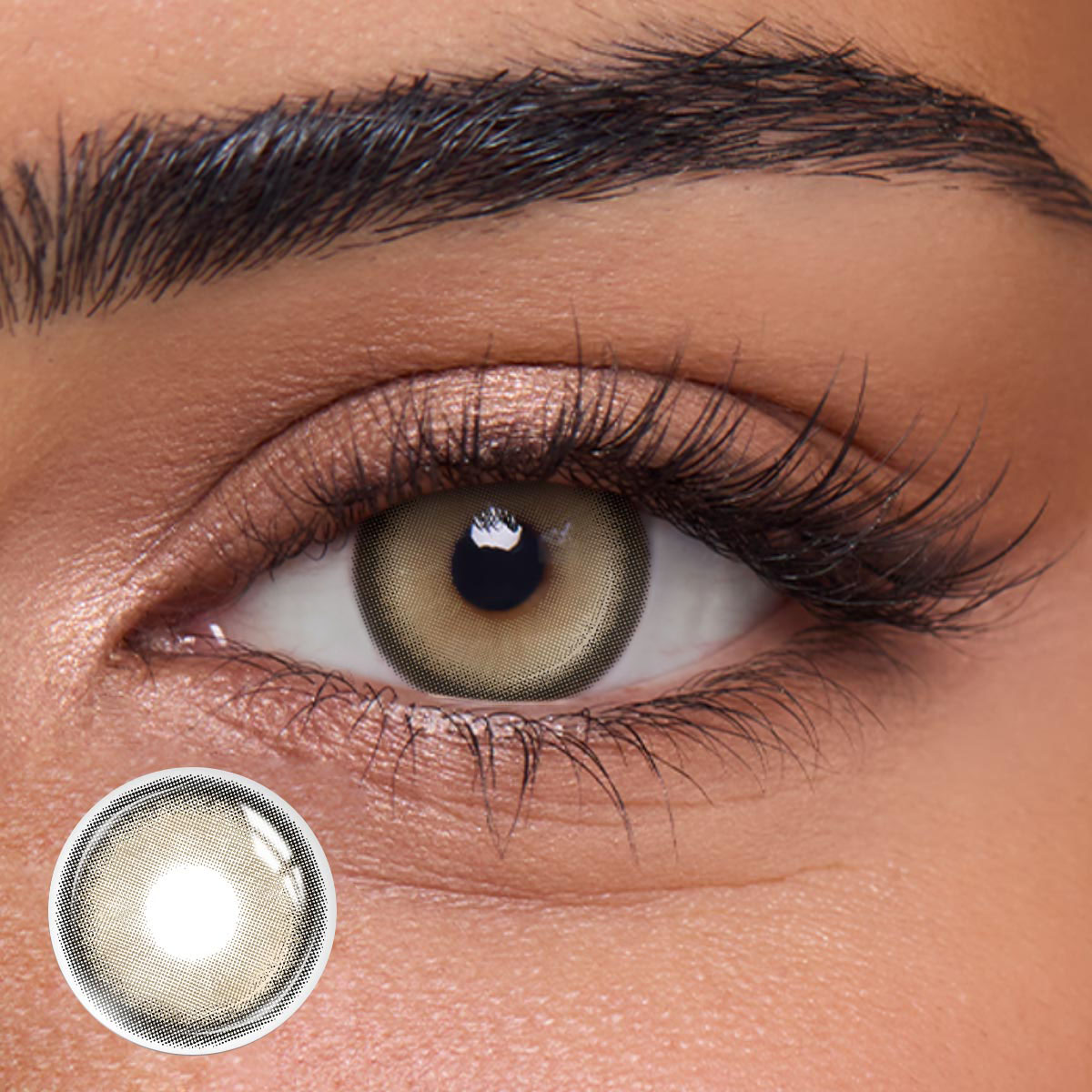 Glema Chocolate - 1 Year, 2 lenses Colored Contacts - Gleglow