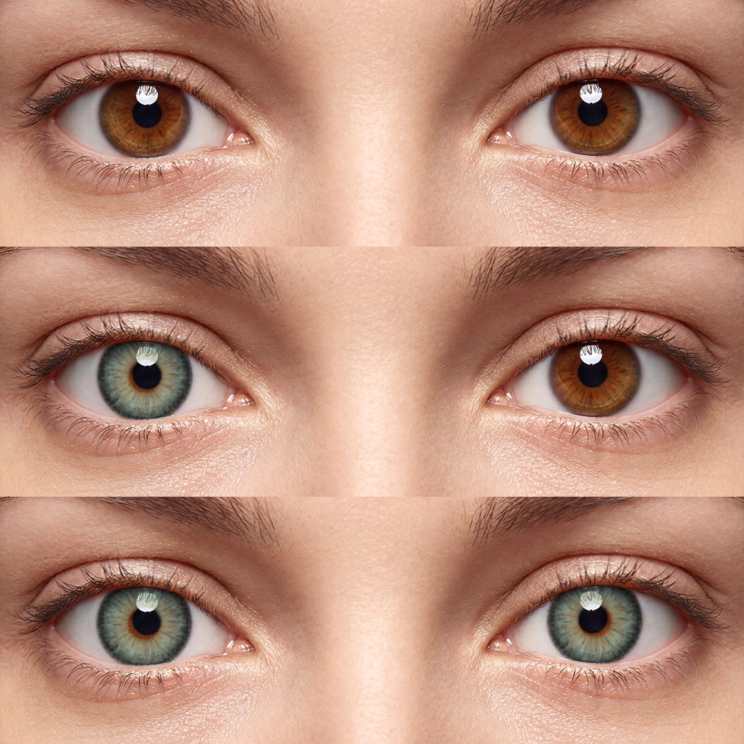 Cool Olive - 1 Year, 2 lenses
