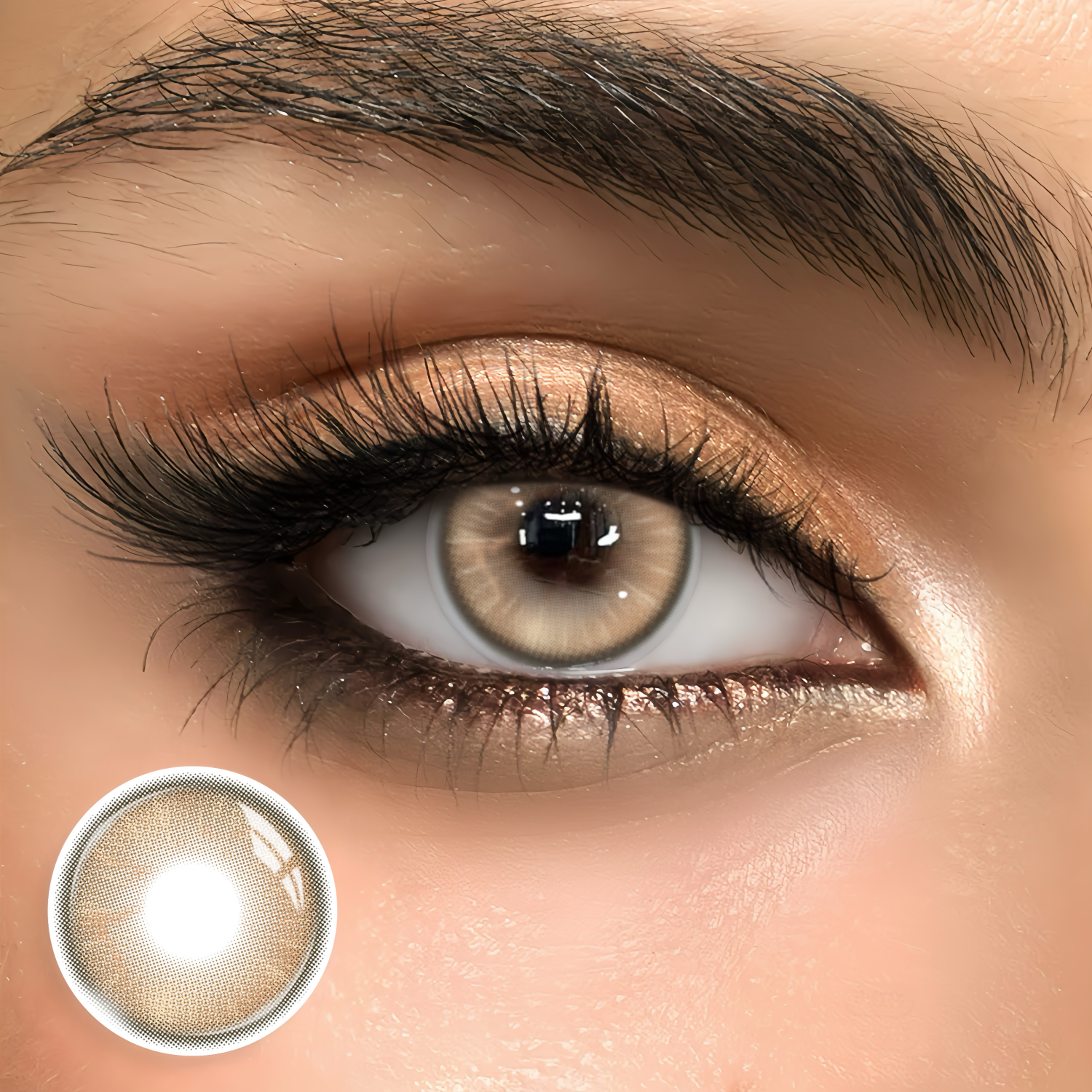 Glossyne Brown - 1 Year, 2 lenses