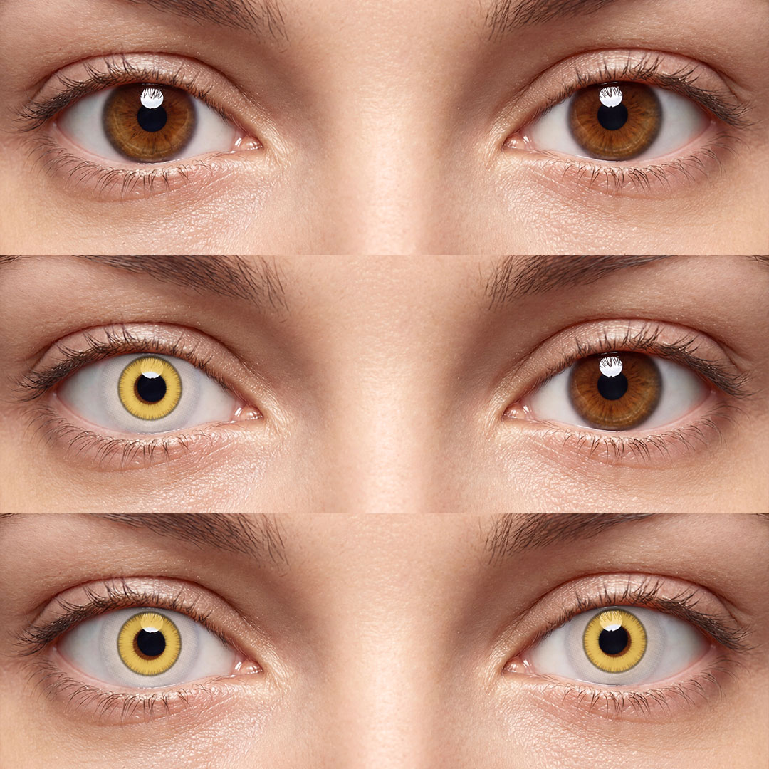 Ecliptic Yellow - 1 Year, 2 lenses