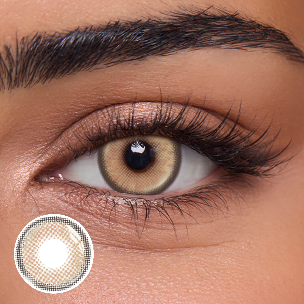 Briza Brown - 1 Year, 2 lenses