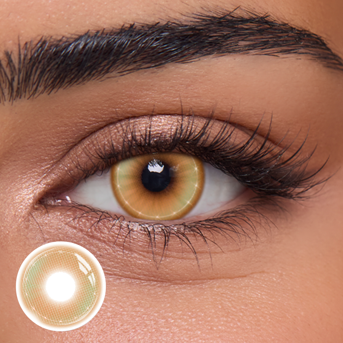 Vetrax Brown - 1 Year, 2 lenses