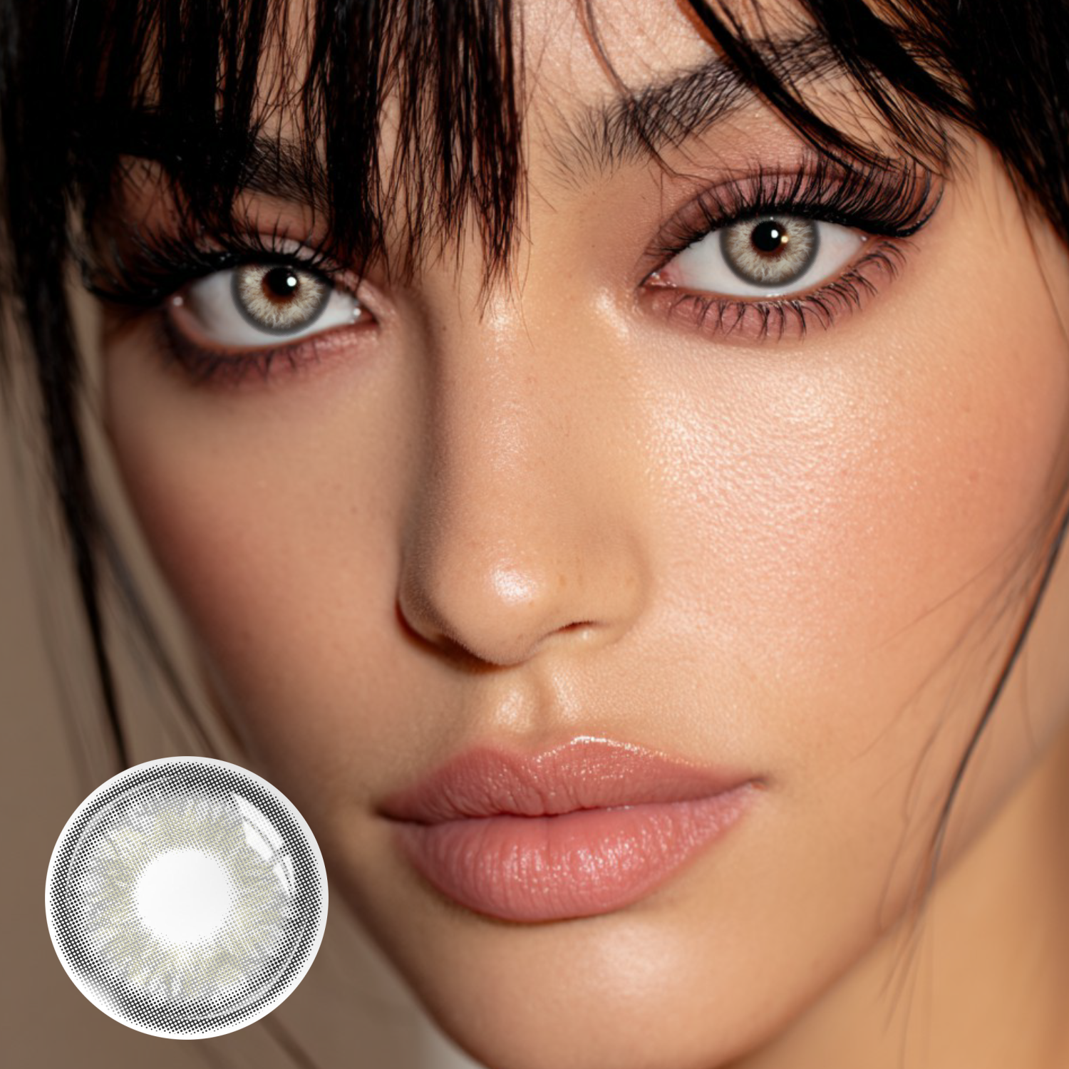 Velvet Grey - 1 Year, 2 lenses