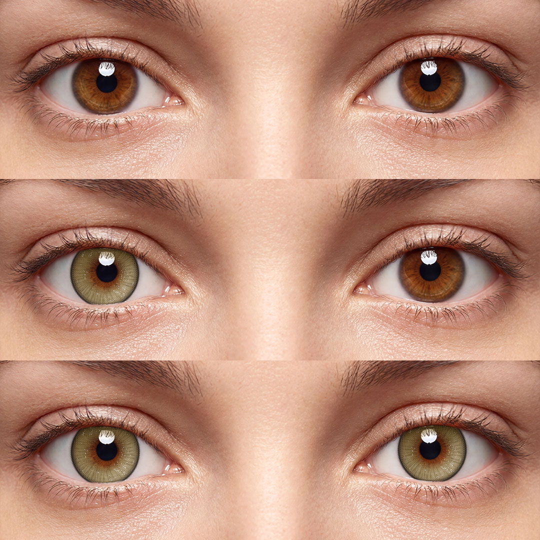 Plume Brown - 6-month，2 lenses