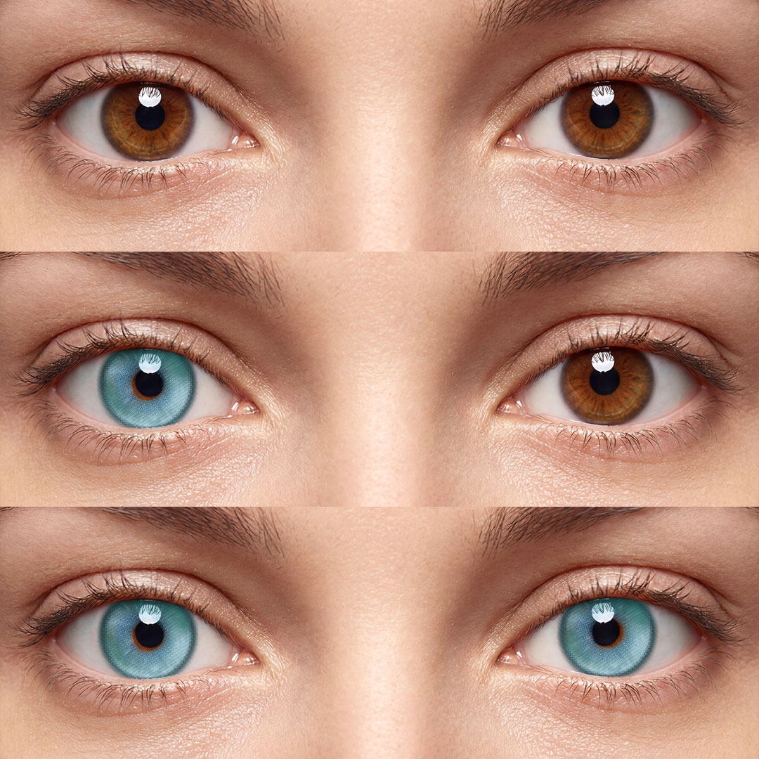Shard Green - 1 Year, 2 lenses