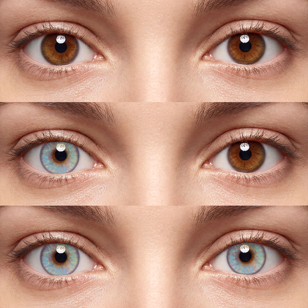 Dawna Purple - 1 Year, 2 lenses