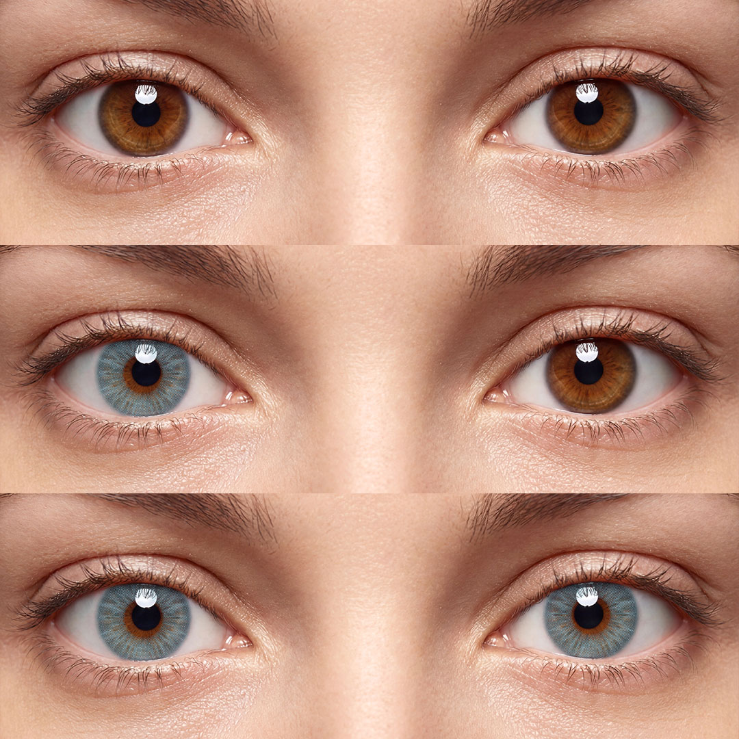 Shinea Blue - 6-month，2 lenses