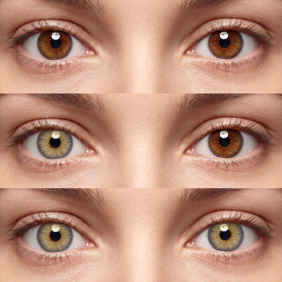Evergreen Brown - 1 Year, 2 lenses