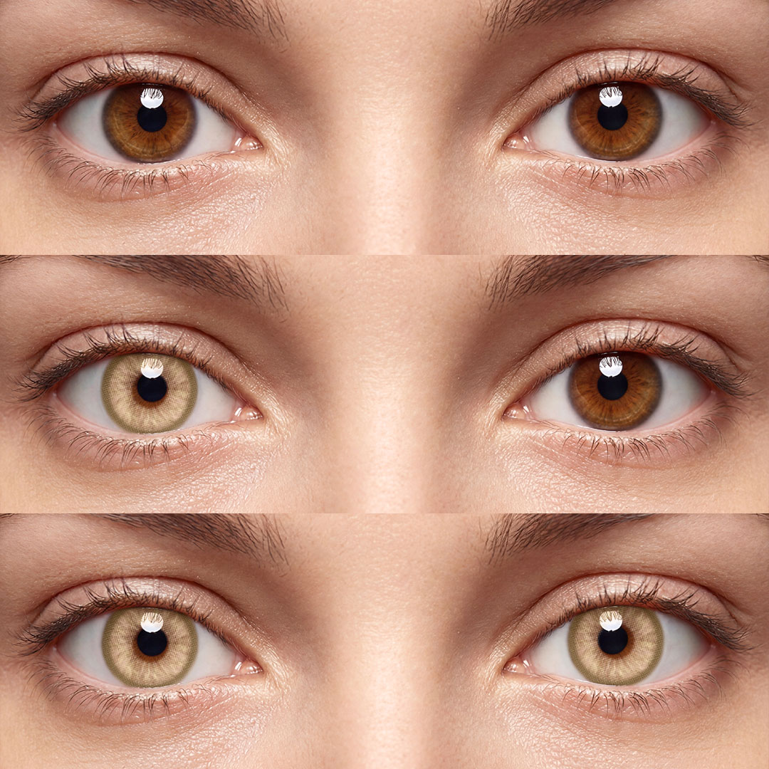 Canvas Brown - 1 Year, 2 lenses