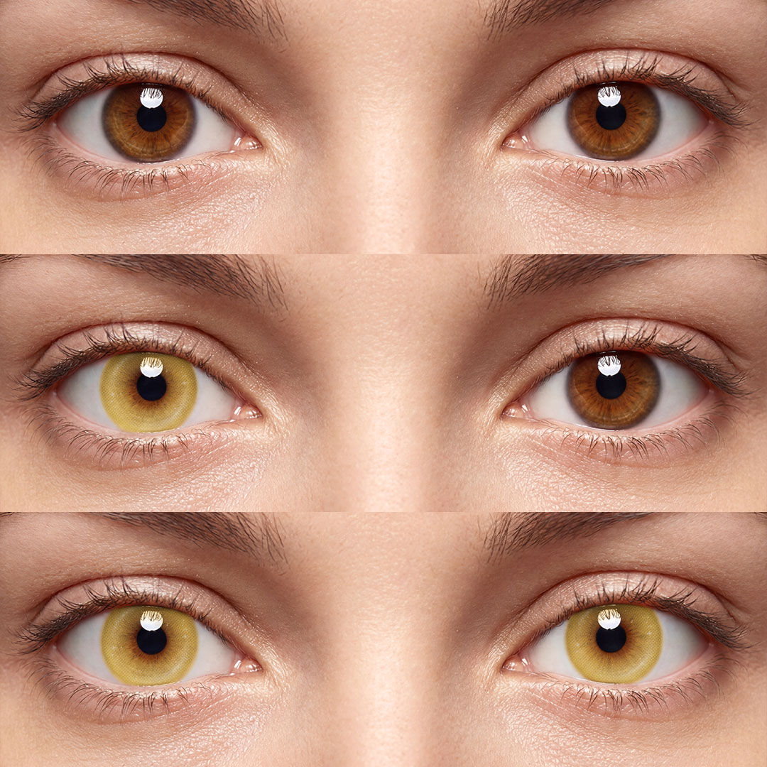 Moodis Brown - 1 Year, 2 lenses