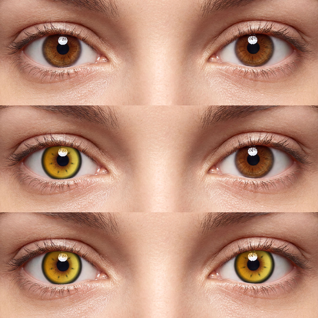 Rhapsody Brown - 1 Year, 2 lenses