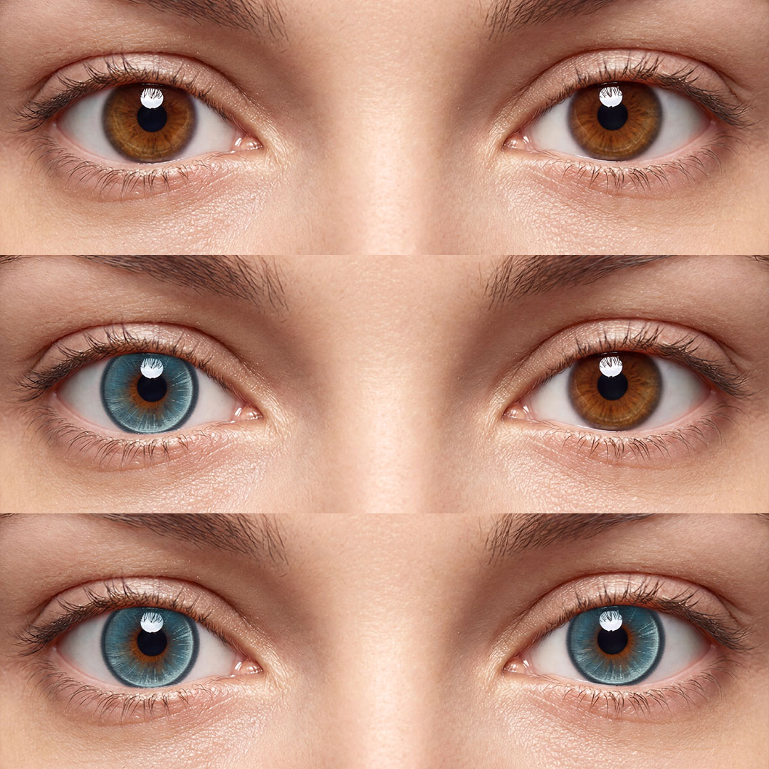 Boulevard Blue - 1 Year, 2 lenses