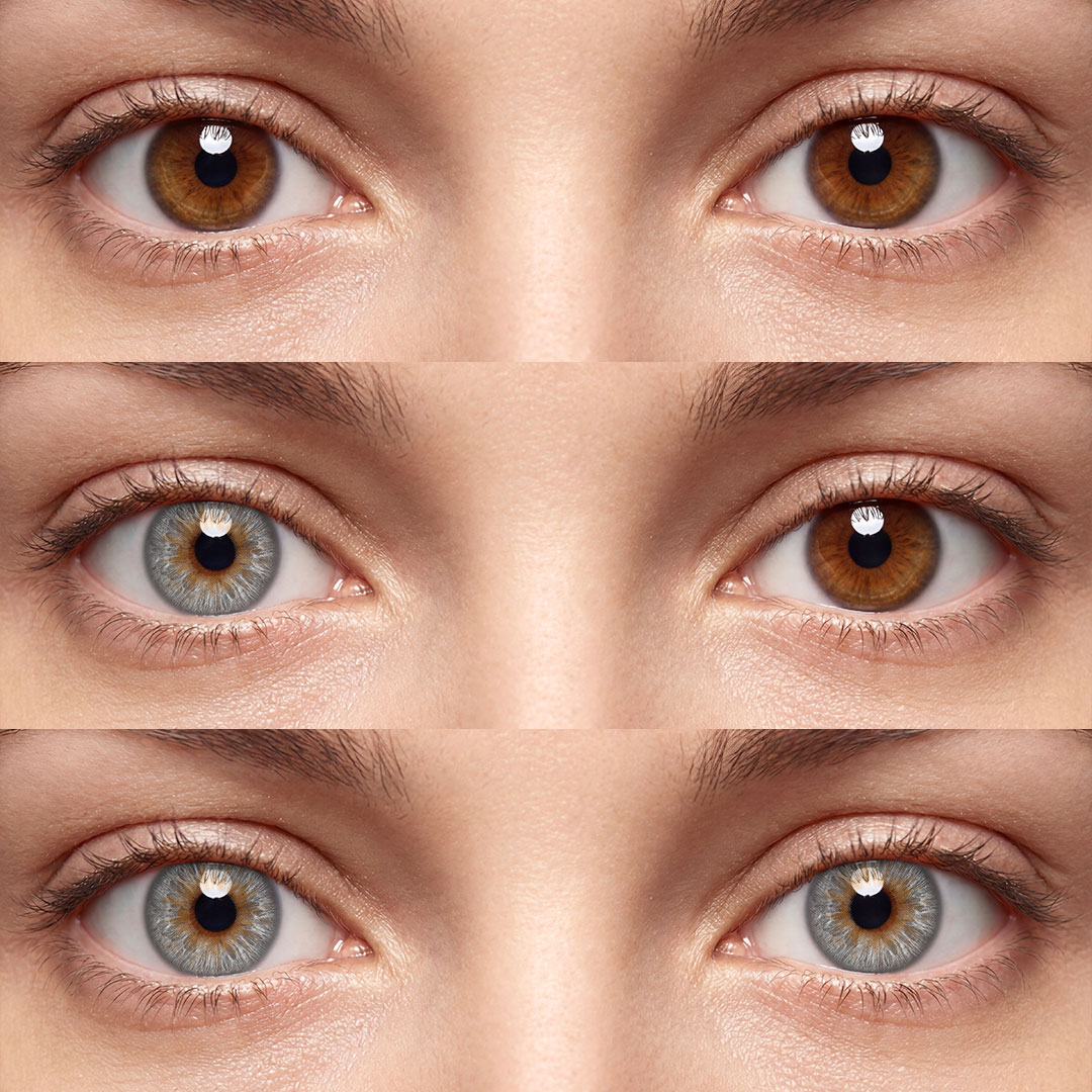 Wolf Gray - 1 Year, 2 lenses