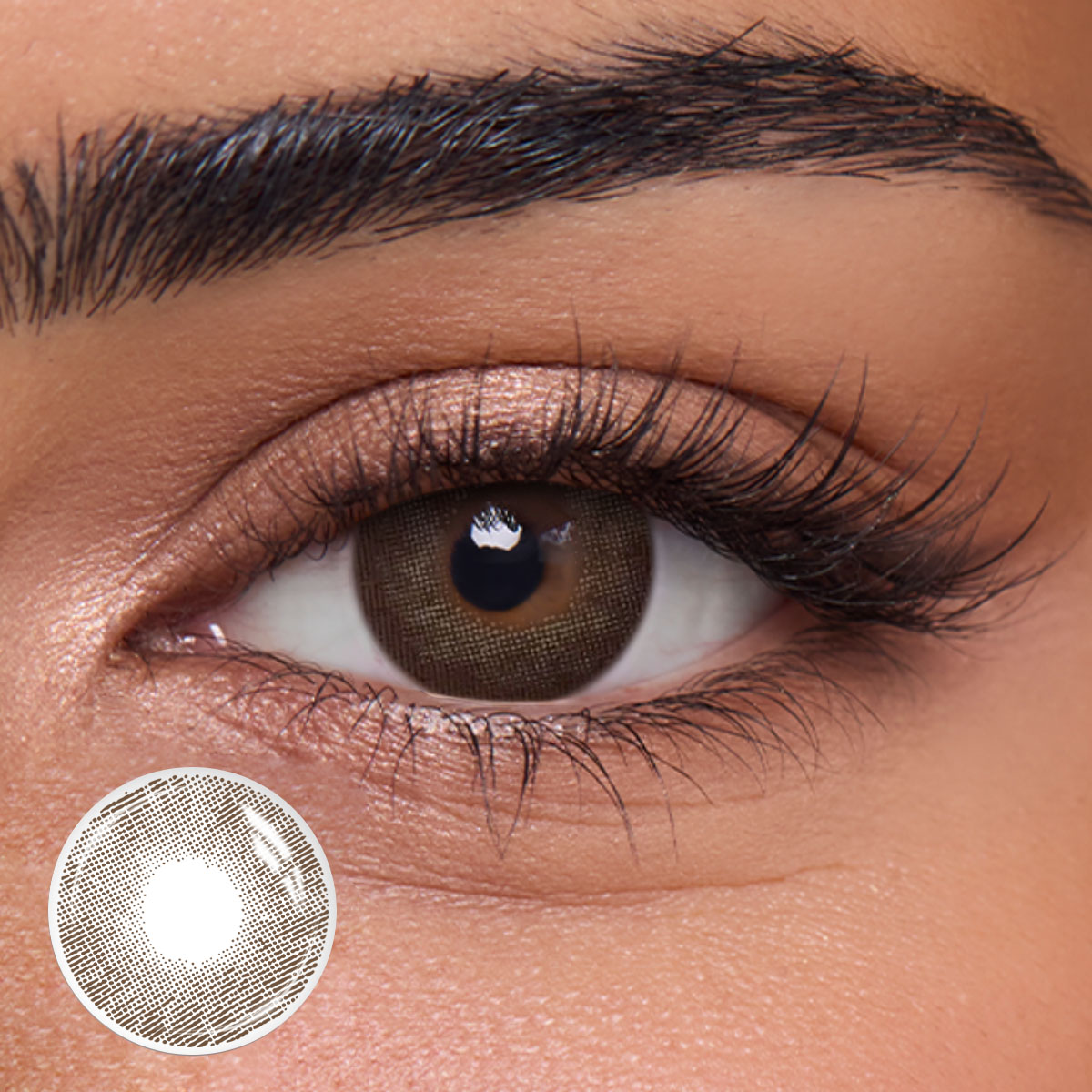 Serac Chocolate - 1 Year, 2 lenses Colored Contacts - Gleglow