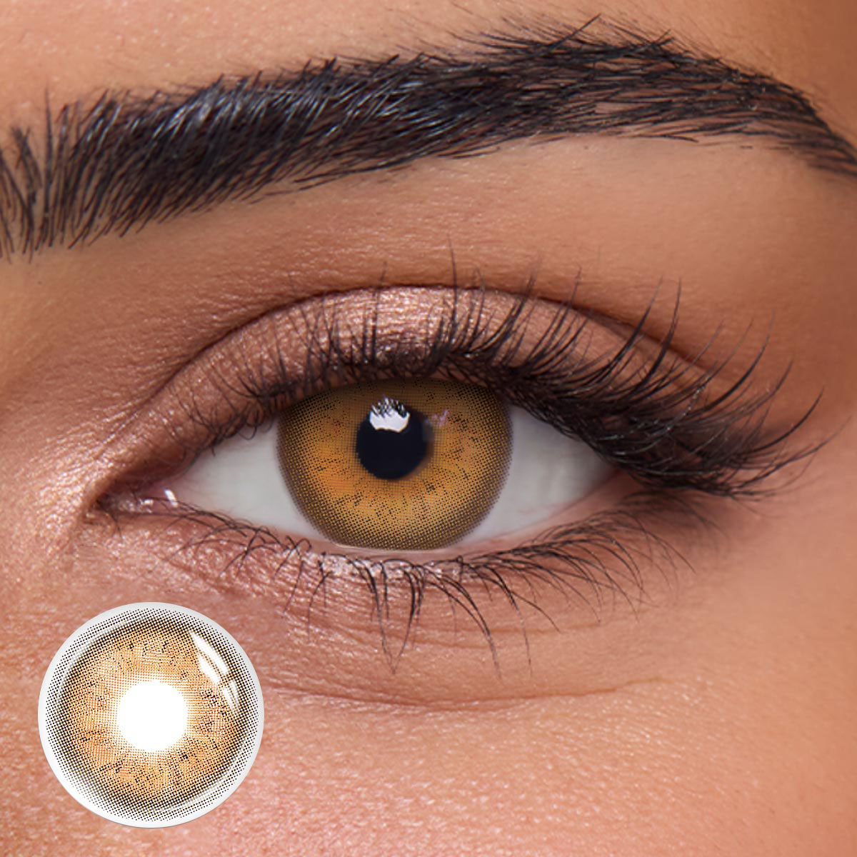 Icebound Brown - 1 Year, 2 lenses