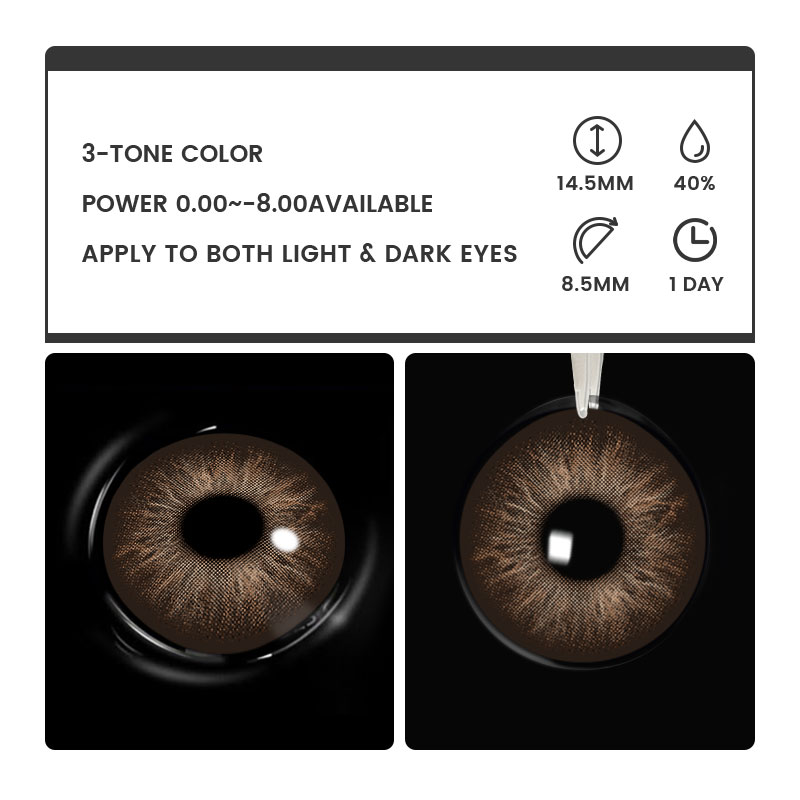 Marron Brown - 1 Day, 2 lenses