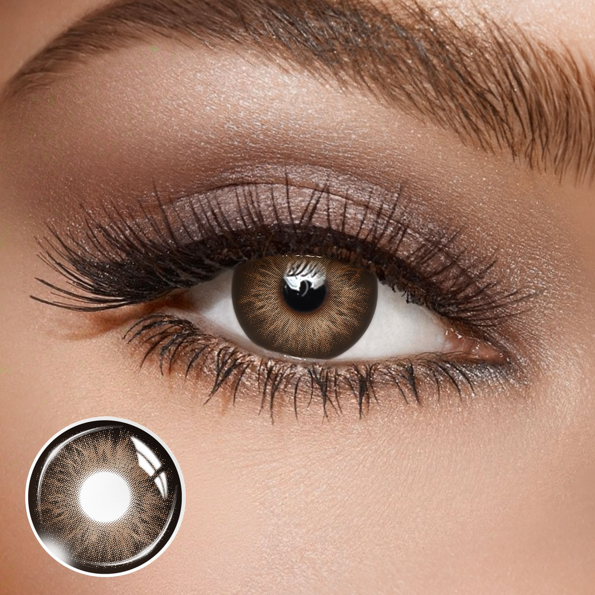 Marron Brown - 1 Day, 2 lenses