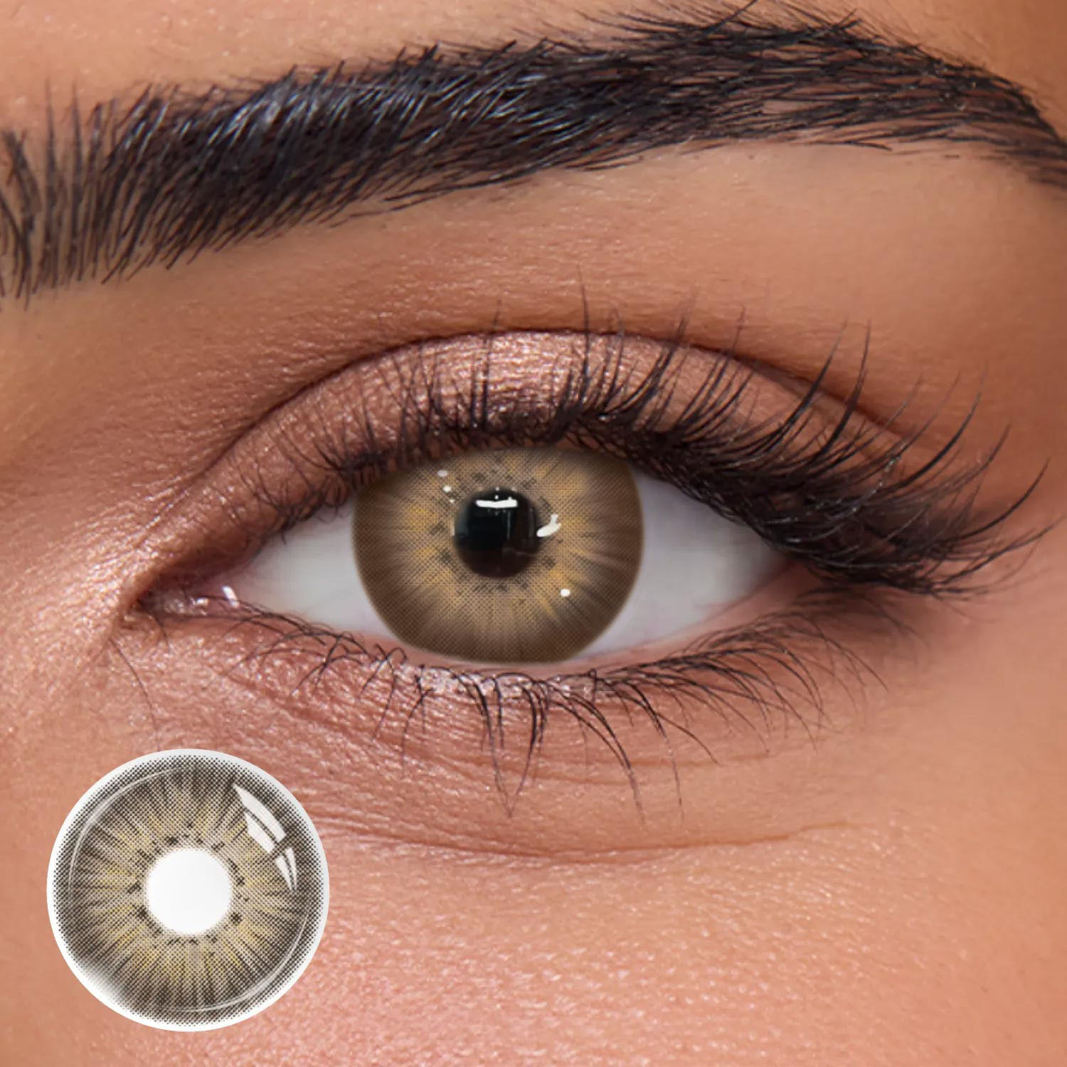 New York III Brown - 1 Year, 2 lenses