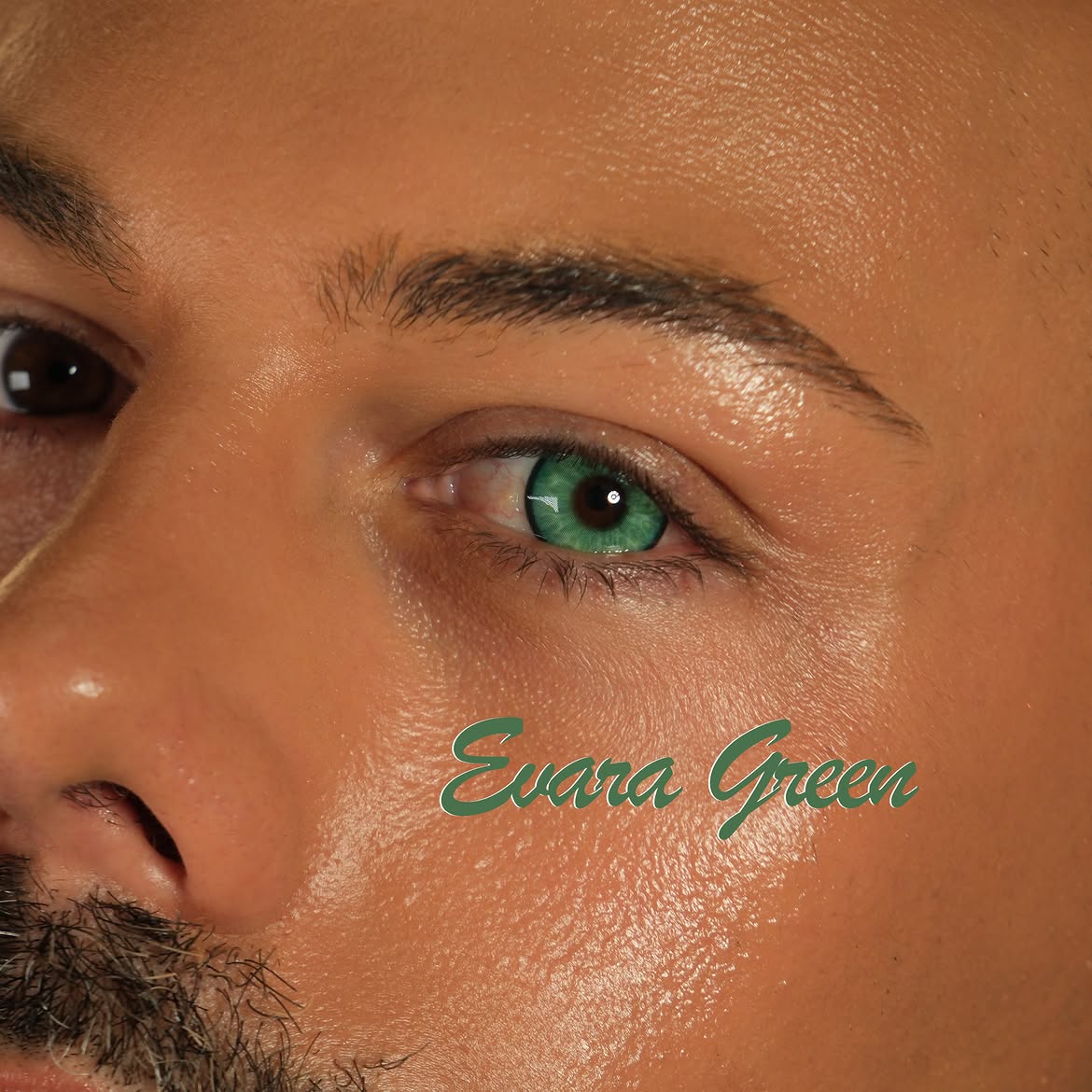 Evara Green - 1 Year, 2 lenses