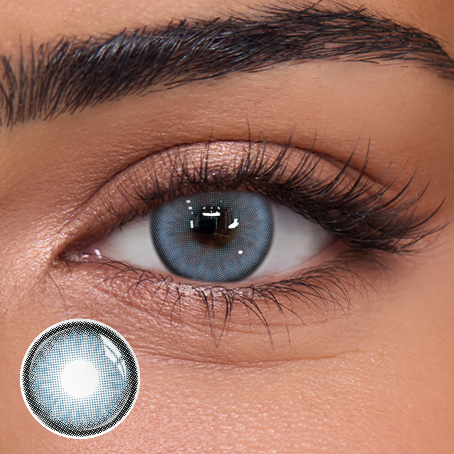 Thistle Flower Blue - 1 Year, 2 lenses